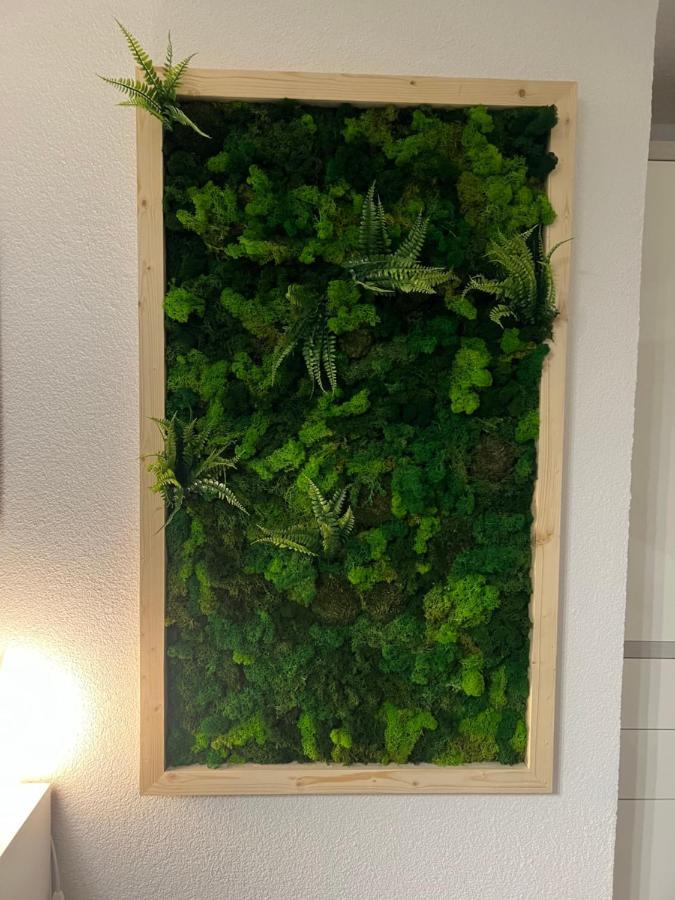 Rickenbach  Appartement Bergwaerts מראה חיצוני תמונה
