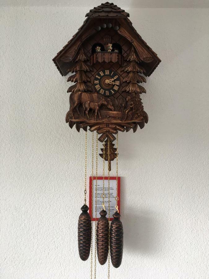 Rickenbach  Appartement Bergwaerts מראה חיצוני תמונה